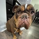 Larry Kennedy - @larry_kennedy1 - Instagram