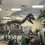 Larry Key - @lar.the.bear.10 - Instagram