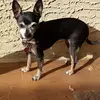 Larry & Khang Soper - @larrykhangsoper - TikTok