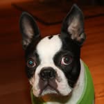 Larry_kingston - @larry_kingston2 - Instagram