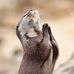 Larry Kirchner - Facebook