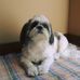 Larry Klinger - Facebook