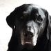 Larry Knauer - Facebook