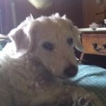 Larry Kooken - @kooken13larry - Instagram