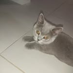 @larry.kot - Instagram