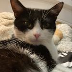 The King Larry - @larrykralostvo - Instagram