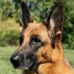 Larry Krieger - @larry857568 - Instagram