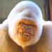 Larry Kremer - Facebook