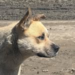 @larrykuzak - Instagram