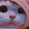 larry kun - @l___y_l4rry - TikTok