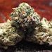 Larry Kush - Facebook