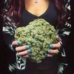 Larry Kush - @roshbannyajuadamian - Instagram