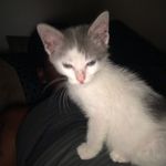 Larry Kush - @kush_kustomz - Instagram