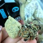 Larry kush - @kush4347 - Instagram