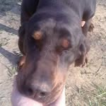 Larry Kutzen - @larrykutzen - Instagram