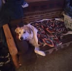 Larry Kyser - Facebook