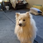 Larry Kyte - @kytelarry - Instagram