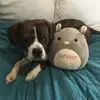 Layla Duke - @layla.duke2 - TikTok