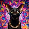 LarryLaffer - @larry_laffer49 - TikTok