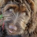 Larry Lahti - @larry.lahti.10 - Instagram