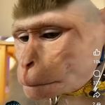 Bong Arangoso Jr. - @larrylakina - Instagram