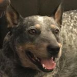 Larry Lakins - @larrylakins - Instagram