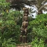 Larry Lammers - @larrylammers - Instagram