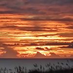 Larry Lasher - @lasher_larry - Instagram
