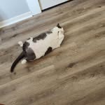 Beverly Jo Parsons Lavine - @larry.lavine - Instagram