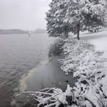 Beverly Jo Parsons Lavine - @larry.lavine - Instagram