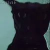 LarryLeMalicieux - @larry.le.malicieux - TikTok