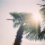 Larry Leeper - @larry_leeper82243103 - Instagram