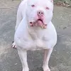 larrylemay0 - @larrylemay0 - TikTok
