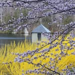 Larry Lederman - @ledermanlens - Instagram