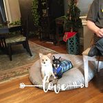 Larry Lenox - @lenoxlarry - Instagram