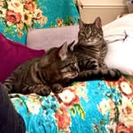 Larry & Leo - @larry.and.leo - Instagram