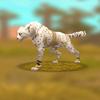 🐾🐆🌿Larry._.Leopard🐆🌱🐾 - @larry._.leopard - TikTok