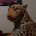 Larry Leopard - Facebook