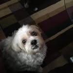 Larry-Lesley Welden - @larrylesleywelden - Instagram