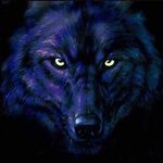 Larry LeSueur - @lesueurlarry - Instagram