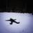 Larry Liao - @2167533908 - TikTok