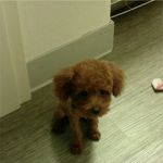 Larry Liao - @l077071 - Instagram