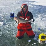 larrylieberth - @larrylieberth - Instagram