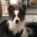 Larry Lieberman - @larrylieberman - Instagram