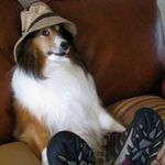 Larry L. - @larrylightfoot - Instagram