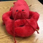 Larry Lincoln Douglas - @larry._.the_lobster - Instagram
