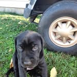 Larry Lindstrom - @larry.lindstrom.96 - Instagram