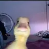 It’syaboi - @lintlickerlarry - TikTok