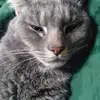 larrylint0 - @larrylint0 - TikTok