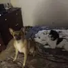 Larry Loken - @larry.loken - TikTok